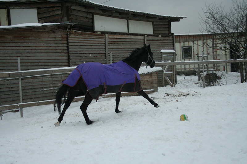 IMG_1553.jpg1.jpg"%20height="533"%20width="800